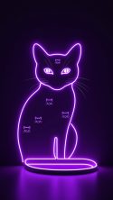Cat Purple 6